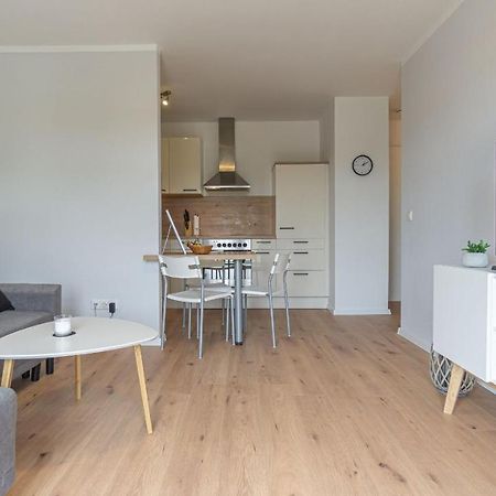 Central Apartment, 55M2, Kitchen, Washer, Netflix, Parking Cottbus Exteriér fotografie